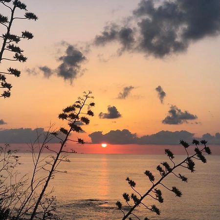 "Suliscenti" Dimora Siciliana B&B 阿沃拉 外观 照片