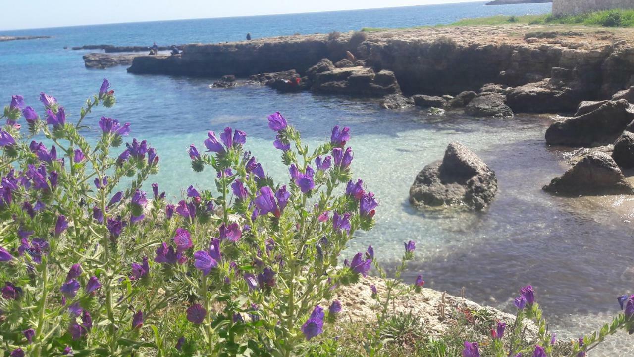 "Suliscenti" Dimora Siciliana B&B 阿沃拉 外观 照片
